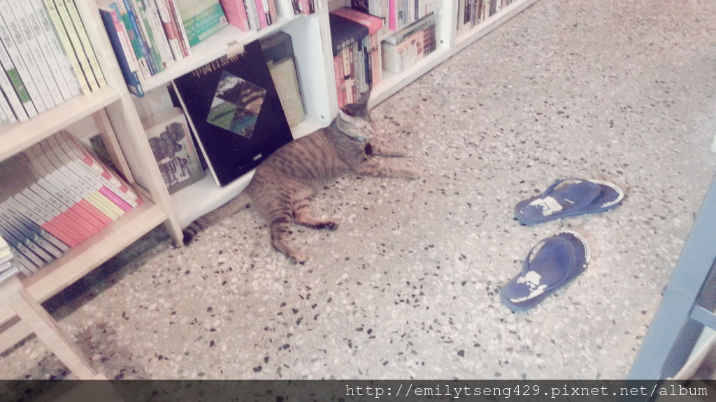 晃晃二手書店