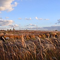 艾蜜莉關天空公園30.JPG