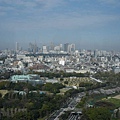 這是東京四十樓的view喔！