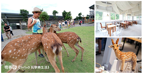 宜蘭「斑比山丘」成為2019年熱門親子旅遊景點，圖片來源：痞客邦部落格《1+1=3 玩學樂生活》。.png