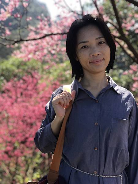 旅遊推廣 | 新北健行步道 | 旅遊心得 | 太極嶺101櫻