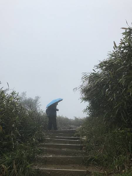 宜蘭旅遊推廣 | 宜蘭健行 | 宜蘭抹茶山 下雨穿搭 登山路