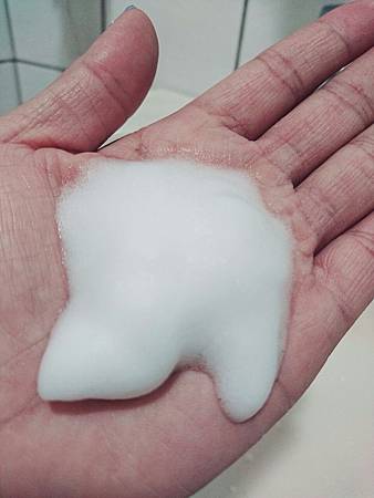 selfiecamera_2016-04-05-12-23-25-756.jpg 試用