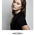 4.India Gants.png