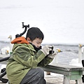 屈斜路湖拍天鵝-來自西伯利亞的過客﹠專注拍照的makoto