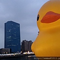 Yellow rubber duck ♥ Kaohsiung