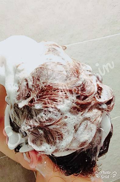 IMG_2454.jpg IMG_2454.jpg