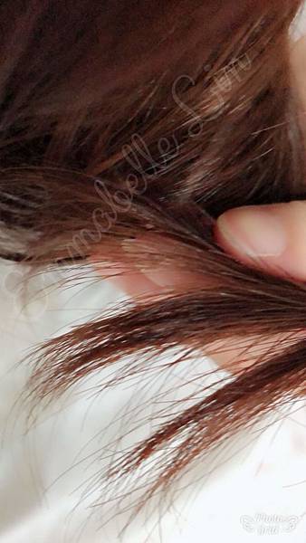 IMG_2561.jpg IMG_2561.jpg