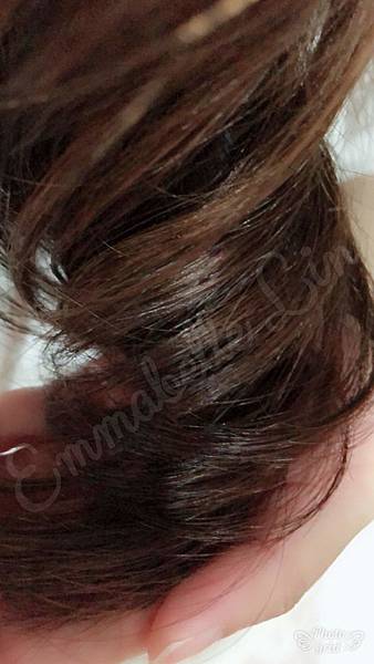 IMG_2560.jpg IMG_2560.jpg