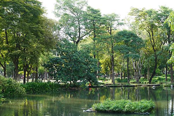 DSC00013.JPG DSC00013.JPG