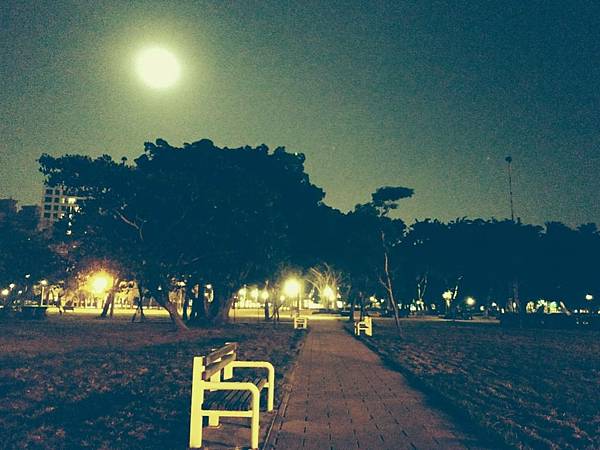 【瑞塔的魔法療癒森林】2023年2月份月空時間