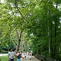 central park1