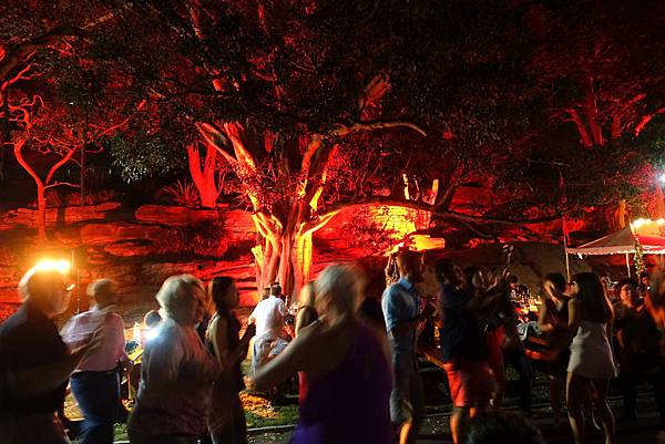 DSC04570.JPG DSC04570.JPG