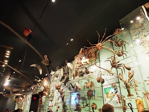 PC291657.JPG PC291657.JPG