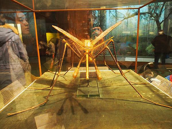 PC291660.JPG PC291660.JPG