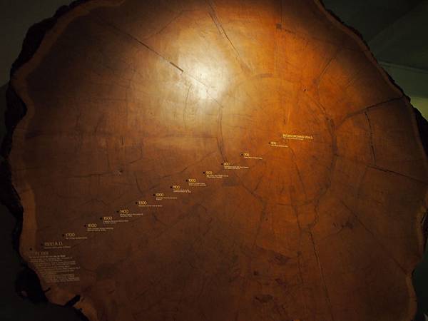 PC291663.JPG PC291663.JPG