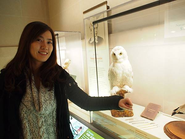 PC291668.JPG PC291668.JPG