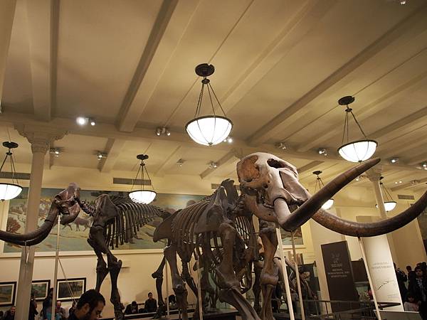 PC291681.JPG PC291681.JPG