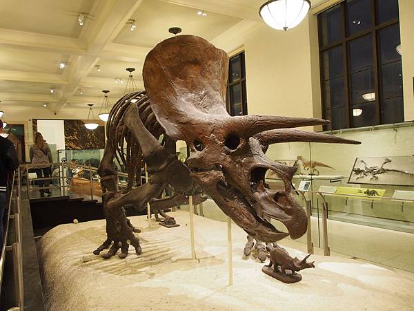 PC291686.JPG PC291686.JPG