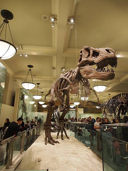 PC291690.JPG PC291690.JPG