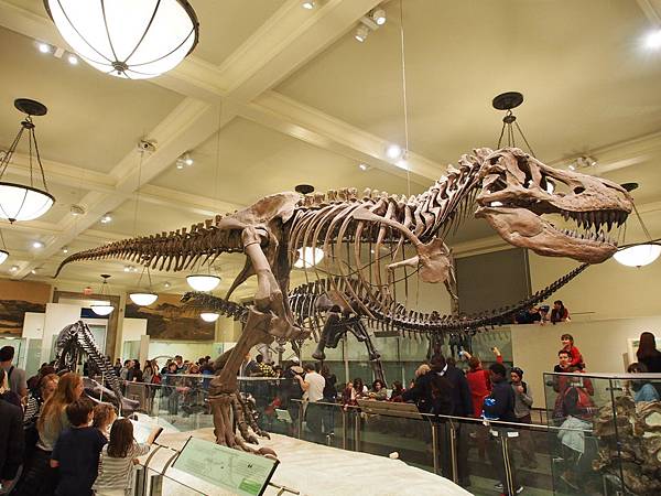 PC291693.JPG PC291693.JPG