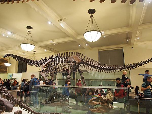 PC291696.JPG PC291696.JPG