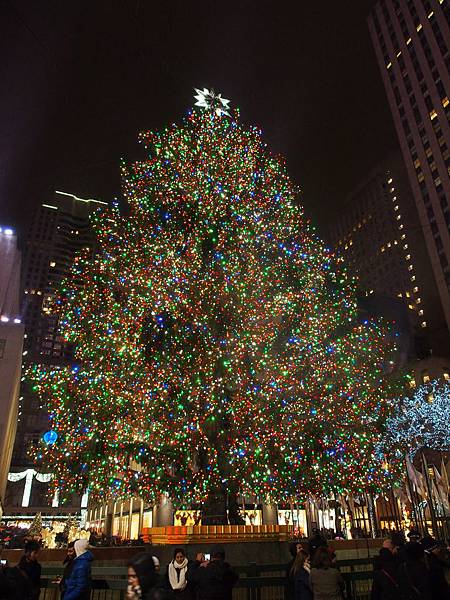 PC291718.JPG PC291718.JPG