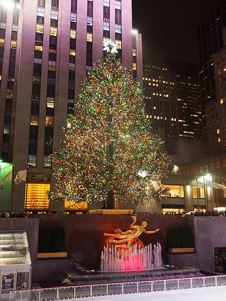 PC291719.JPG PC291719.JPG