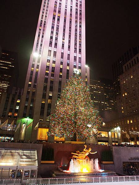 PC291723.JPG PC291723.JPG