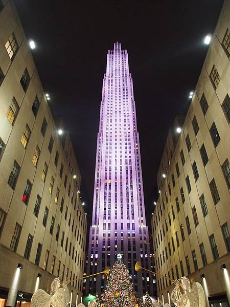 PC291743.JPG PC291743.JPG