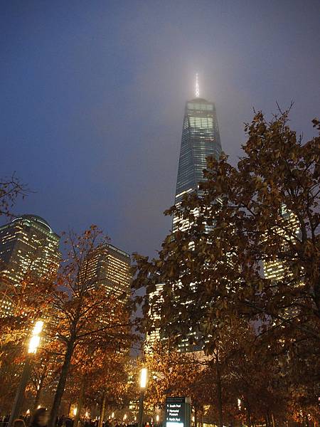 PC312155.JPG PC312155.JPG