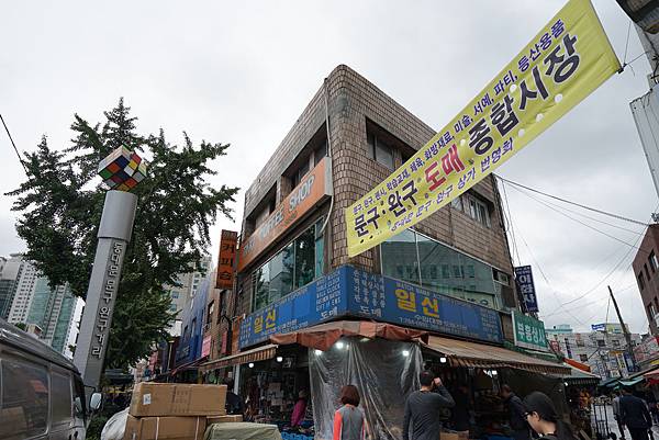 DSC06695.JPG DSC06695.JPG