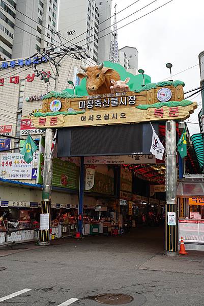 DSC06724.JPG DSC06724.JPG