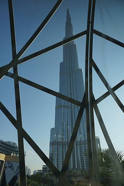 DSC03113.JPG DSC03113.JPG