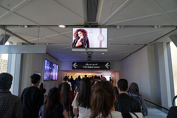 DSC03116.JPG DSC03116.JPG