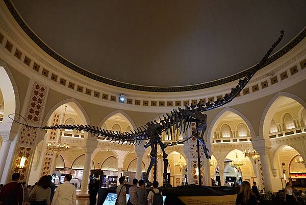 DSC03142.JPG DSC03142.JPG