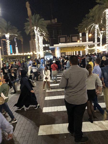 20190101043146_IMG_3991.jpg 20190101043146_IMG_3991.jpg