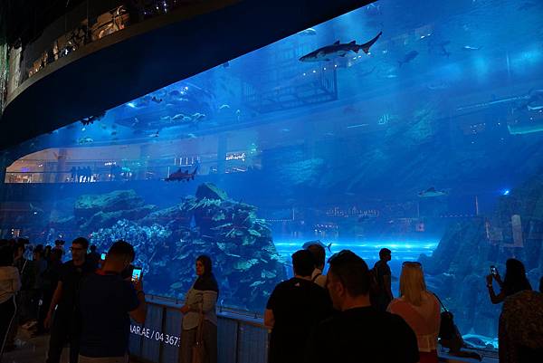 DSC03316.JPG DSC03316.JPG