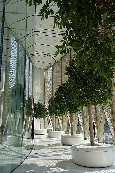 DSC03333.JPG DSC03333.JPG