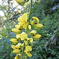 20110508_55.JPG