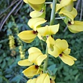 20110508_57.JPG