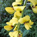 20110508_58.JPG