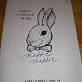 兔子兔子-1