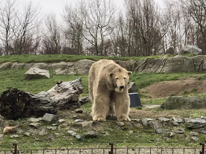 Blijdorp Zoo