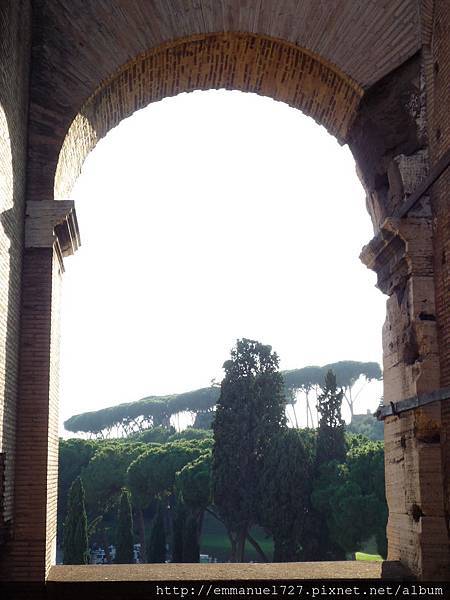 鬥獸場 (Colosseum) 