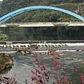 坪林大橋