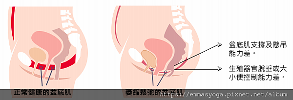 截圖 2020-01-17 下午6.57.25.png