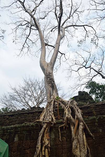 DSC_0254.JPG DSC_0254.JPG