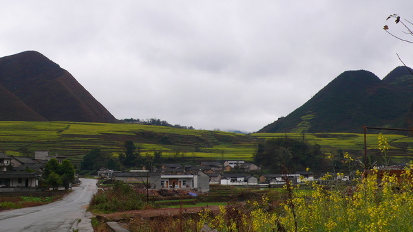 田園風光