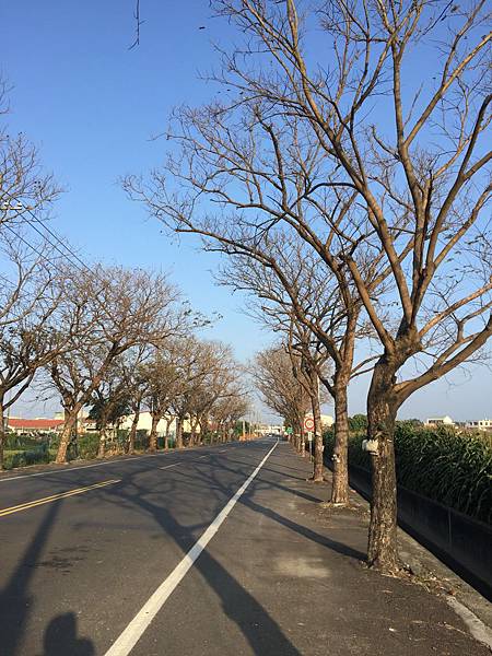 相片 2018-2-2 上午7 56 02.jpg 相片 2018-2-2 上午7 56 02.jpg
